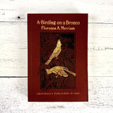 A-Birding on a Bronco