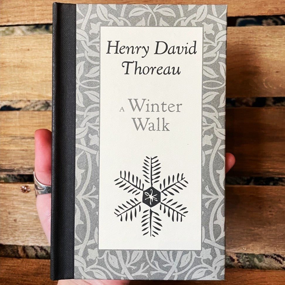 A Winter Walk