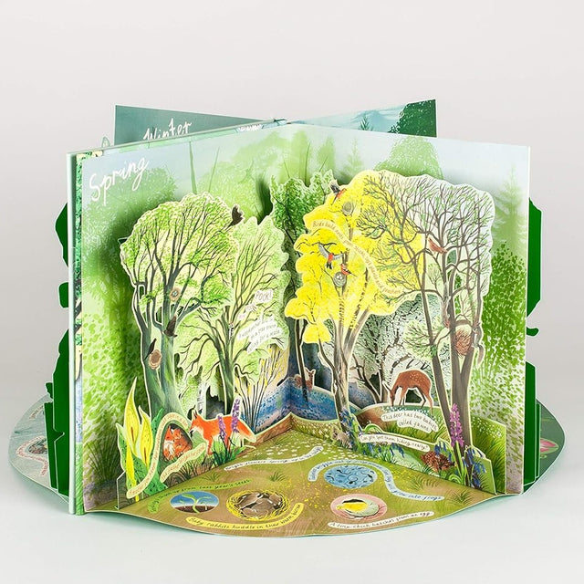 Pop-up book with a springtime forest scene on a white background