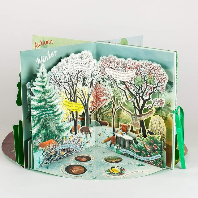 Pop-up book showing seasonal changes in winter with trees and animals