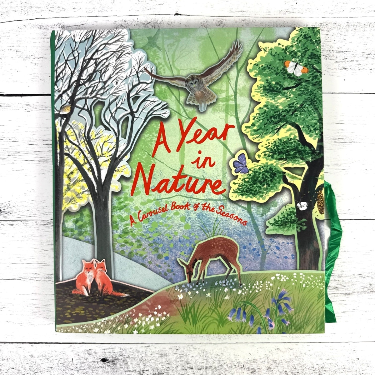 A Year in Nature: A Carousel Book of the Seasons