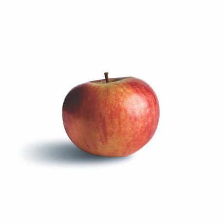 The Apple Lover's Cookbook