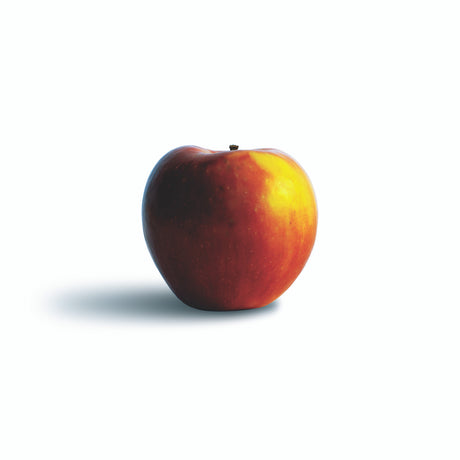 The Apple Lover's Cookbook