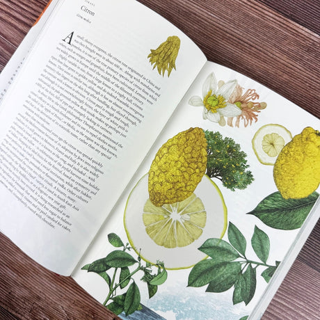plant book open to spread titled "Citron" with illustrations of citron fruit and blooms