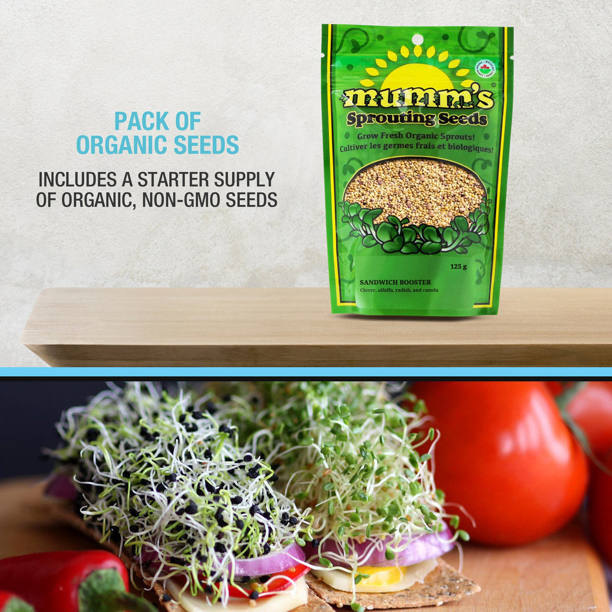 Mason Jar Sprouting Kit with Seeds