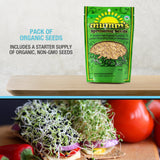 Mason Jar Sprouting Kit with Seeds