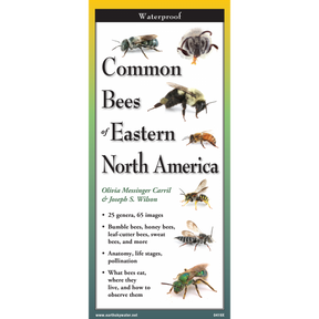 Cover of the ‘Common Bees of Eastern North America’ guide featuring illustrations of various bee species, including honey bees and bumble bees.”