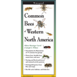 Cover of the ‘Common Bees of Western North America’ guide featuring illustrations of various bee species, including honey bees and bumble bees.”