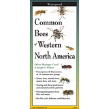 Cover of the ‘Common Bees of Western North America’ guide featuring illustrations of various bee species, including honey bees and bumble bees.”