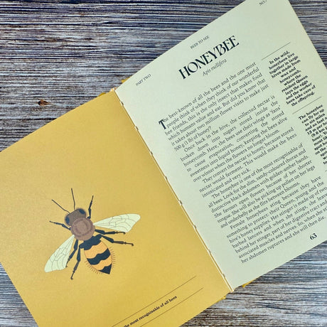 Bees: A Guide for the Curious
