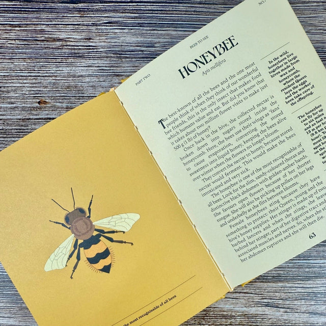 Bees: A Guide for the Curious