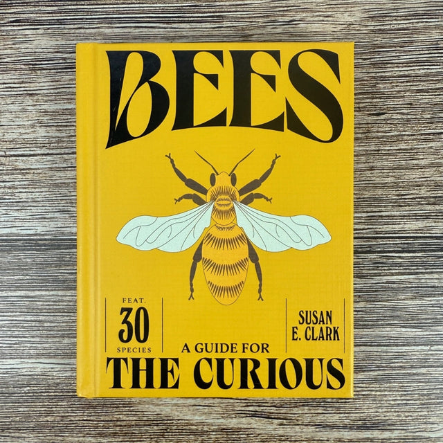 Bees: A Guide for the Curious