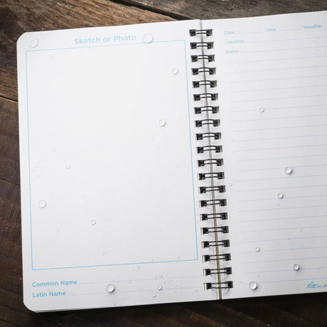 an interior view of the notebook's blank pages for bird sketches and lined pages for bird ntoes