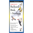 The cover image of Sibley’s Backyard Birds of the Northeast folding guide featuring a selection of illustrations of birds against a map of the Northeastern US region.
