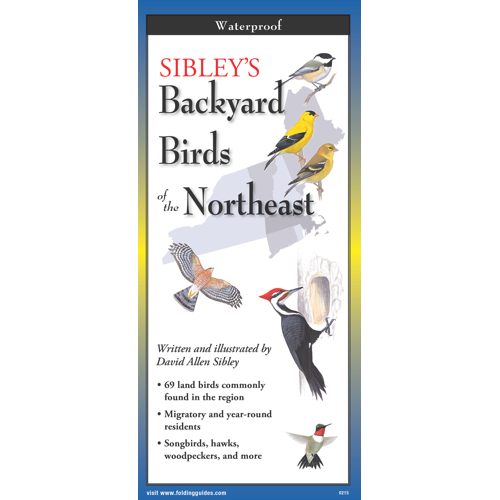 The cover image of Sibley’s Backyard Birds of the Northeast folding guide featuring a selection of illustrations of birds against a map of the Northeastern US region.