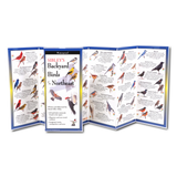 The Sibley’s Backyard Birds of the Northeast folding guide unfolded and upright, accordion style, showing the contents of the guide, which has illustrations and printed information on backyard birds