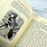 Birds Through an Opera-Glass