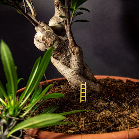 Tiny Birdhouse for Your Plants