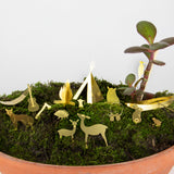Tiny Camping for Your Plants