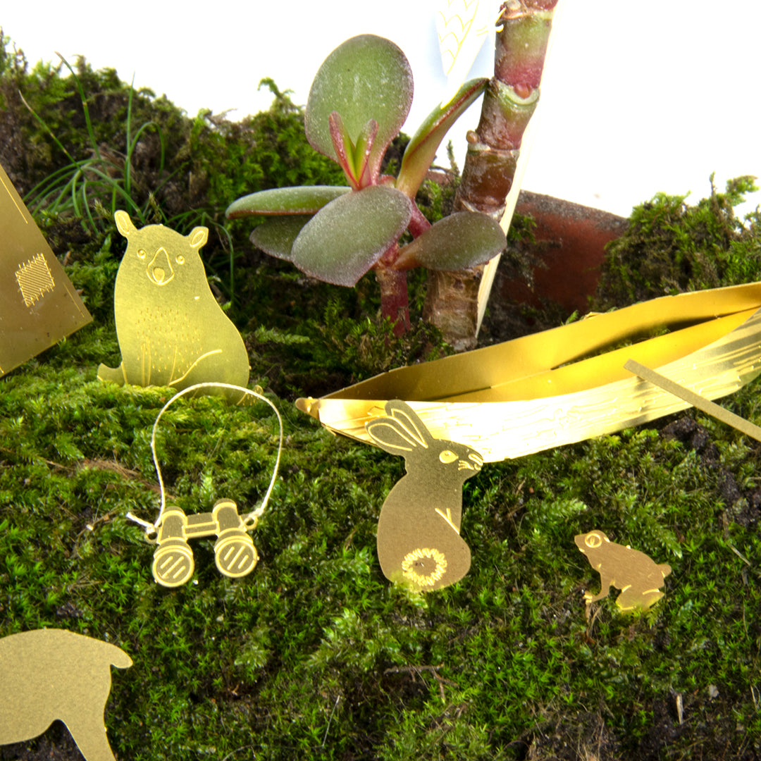 Tiny Camping for Your Plants