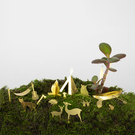 Tiny Camping for Your Plants