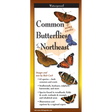 Cover of the folding guide 'Common Butterflies of New England,' featuring vibrant illustrations of various butterfly species including swallowtails and fritillaries