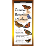 Cover of the folding guide 'Common Butterflies of New England,' featuring vibrant illustrations of various butterfly species including swallowtails and fritillaries
