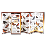 Inside view of the folding guide displaying detailed illustrations and descriptions of 62 butterfly species found in New England, including swallowtails and blues
