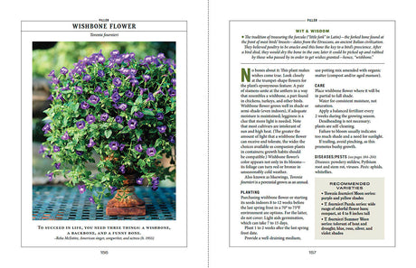 Container Gardener’s Handbook - eBook