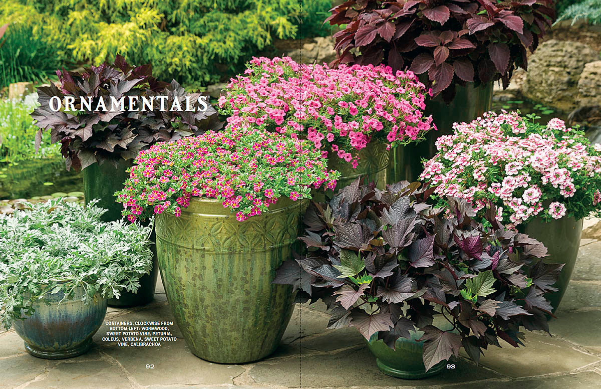 The Old Farmer's Almanac Container Gardener's Handbook – The Old