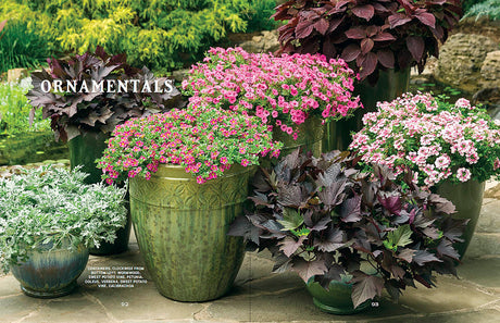 Container Gardener’s Handbook - eBook