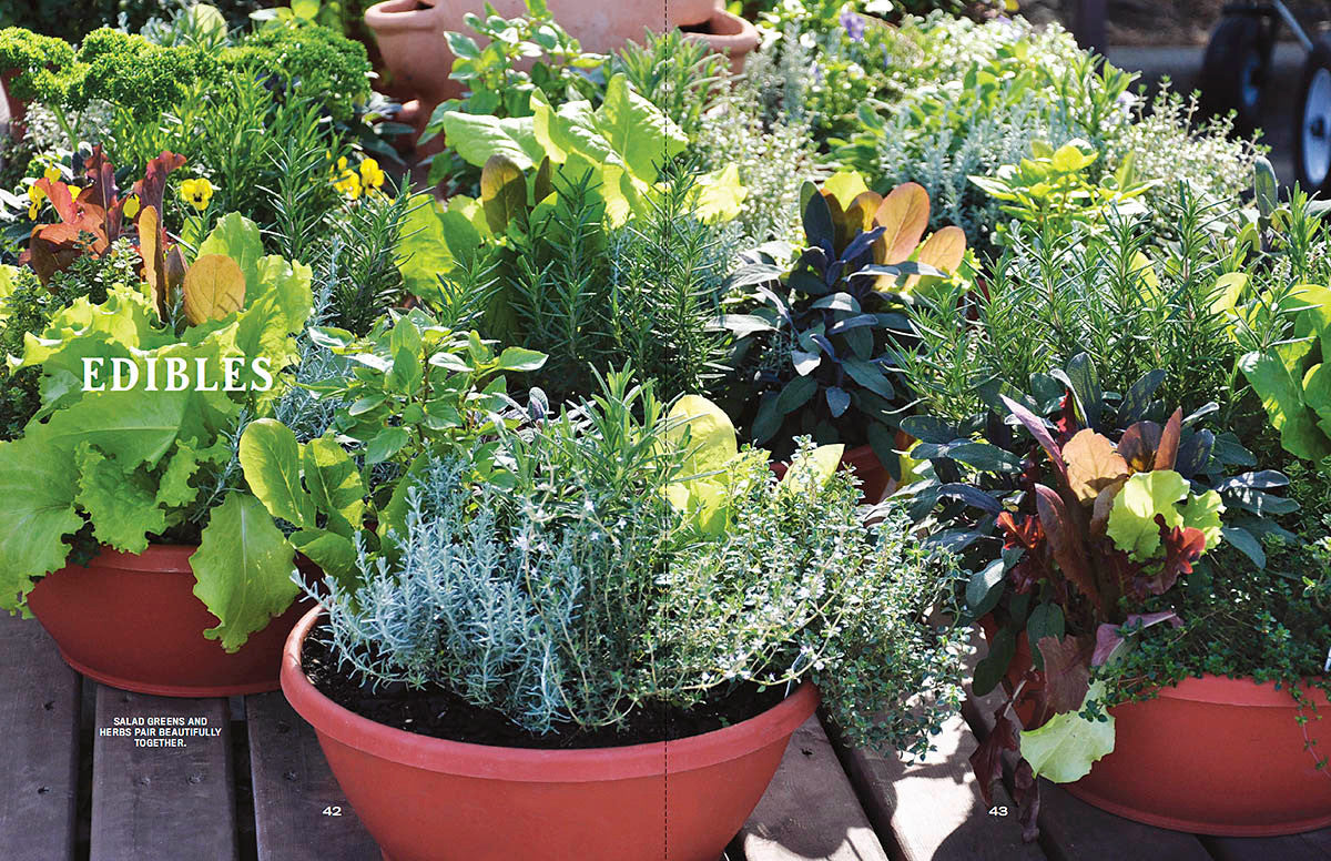 Container Gardener’s Handbook - eBook