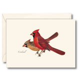 Cardinal Note Card Set