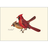 Cardinal Note Card Set