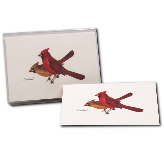 Cardinal Note Card Set