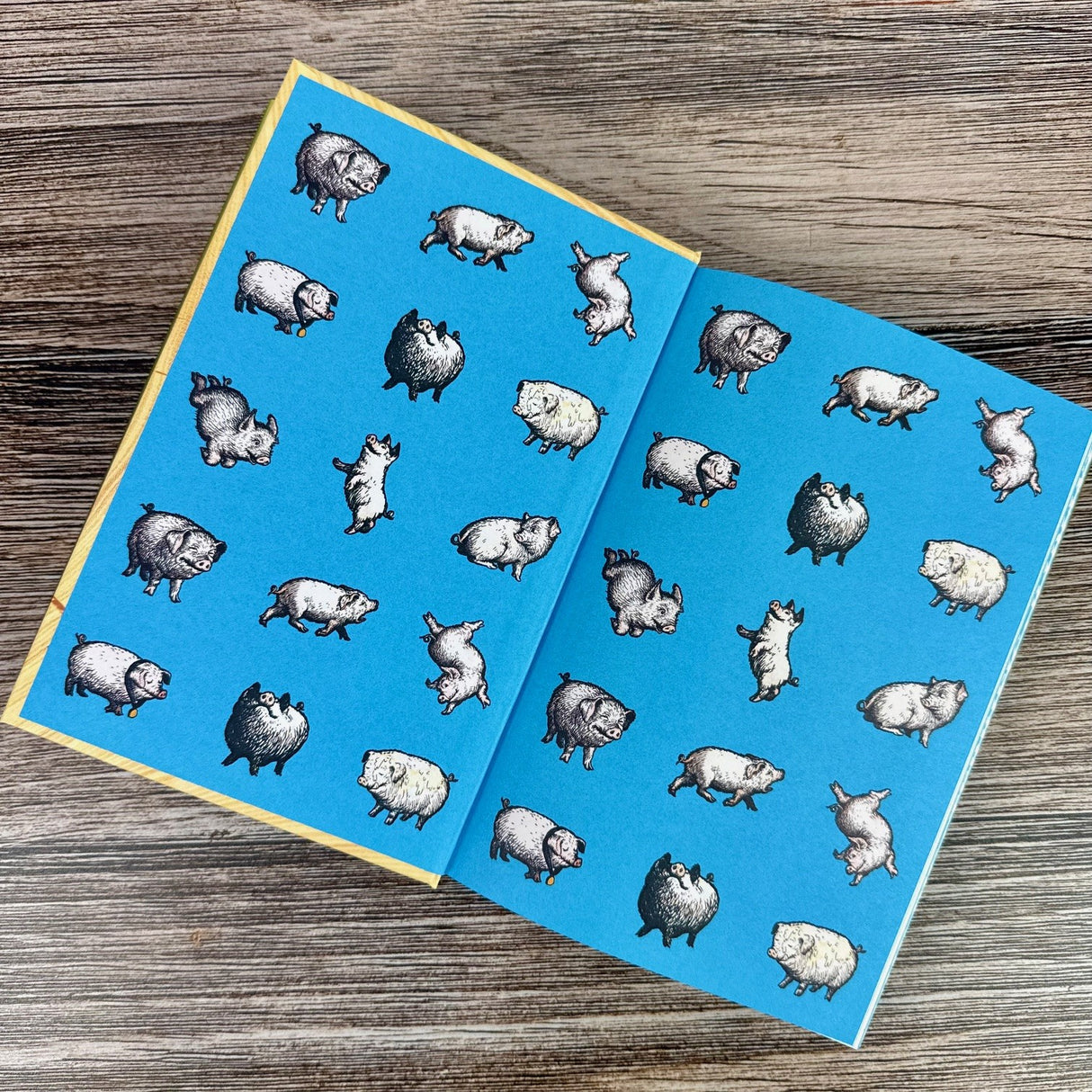 Charlotte's Web - Deluxe Edition