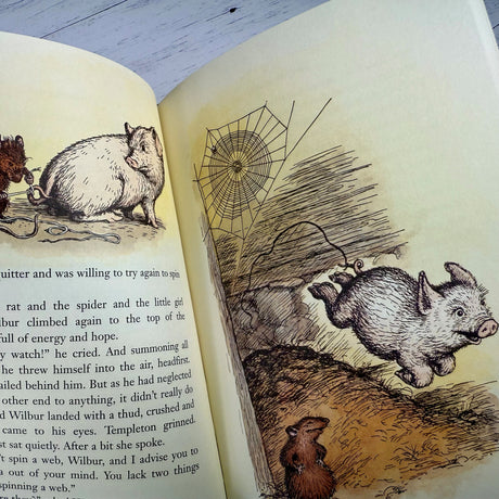 Charlotte's Web