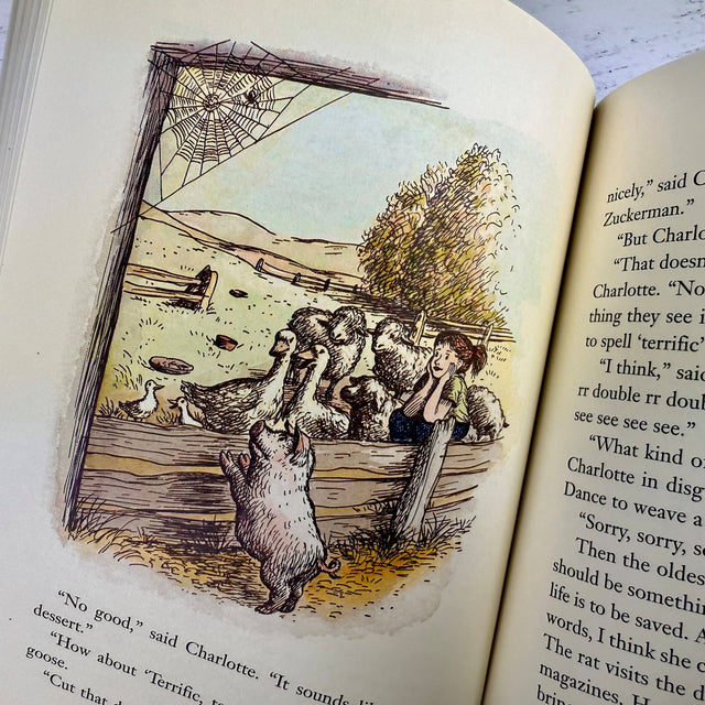 Charlotte's Web