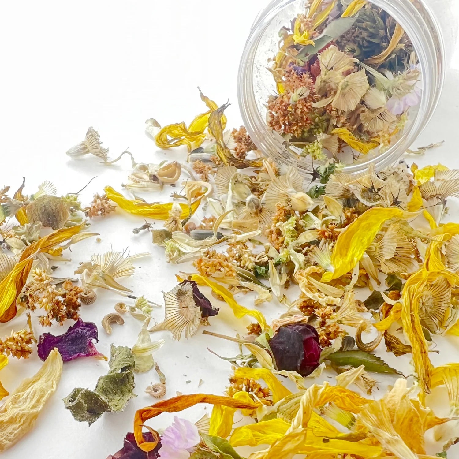 Sow the Magic Wildflower Garden Seed Confetti