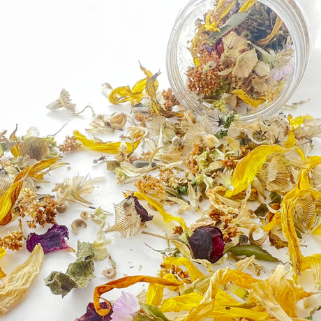 Dried flowers and herbs with a clear glass container on a white background