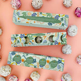 Moon Phase Culinary Seed Ball Planting Set