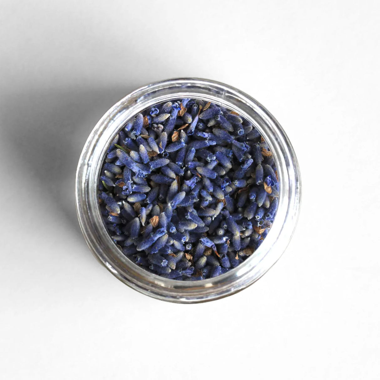 Culinary Lavender