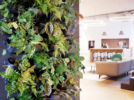 multiple charcoal eco wall planters arranged in a rectangular shape on a living room wall, each has greenery spilling out of it giving the look of a wall of plants