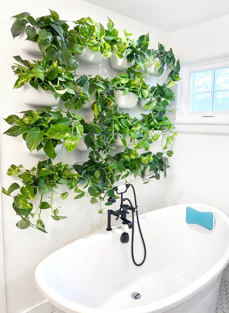 a white bathroom with white eco wall planters mounted on the wall above the top in a square arrangement with green plants filling the planters giving the look of a wall of plants
