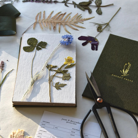 The field press on a table, open, surrounded by pressed flowers, scissors, and supplies