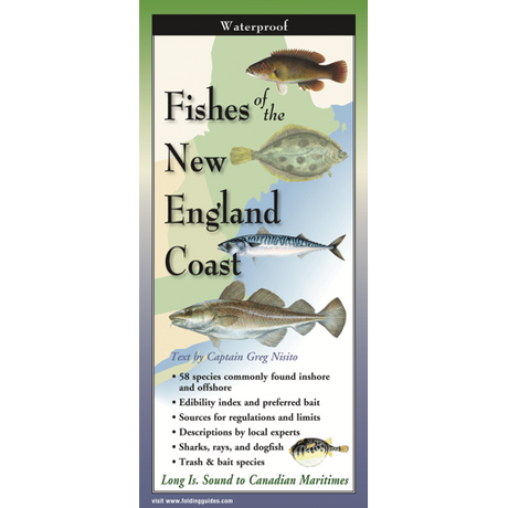 Cover image for Fishes of the New England Coast, featuring illustrations of various species of coastal fish in profile against a map of the Northeast US