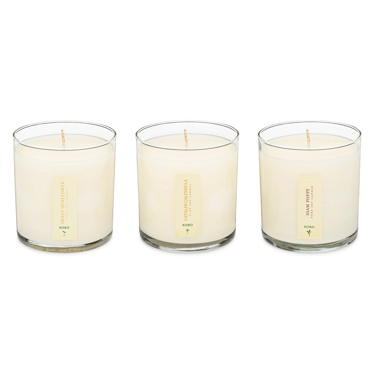 Plant the Box Votive Set - Floral Bouquet