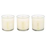 Floral Bouquet - Plant the Box Votive Candle Trio