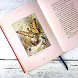 Flower Fables Deluxe Edition