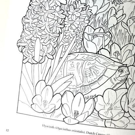 The Flower Garden Coloring Book